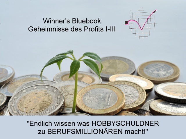 Winners Bluebook  Geheimsnisse des Profits I-III <I>Endlich wissen, was HOBBYSCHULDNER zu BERUFSMILLIONRE macht!</I>